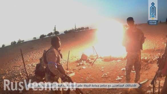 Человекообразное зверьё, разорванное на части: боевики в Сирии уничтожают самих себя (ФОТО 18+)