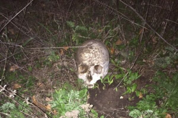 Череп и кости нашли около частного дома на Ставрополье