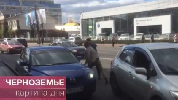 Дорожные разборки: драка автомобилистов попала на видео
