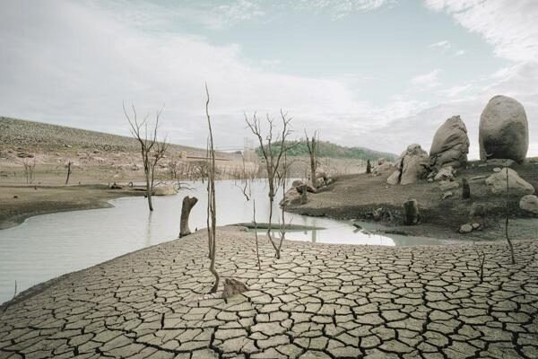 «Экологический Армагеддон» уже наступил – ужаснулись ученые