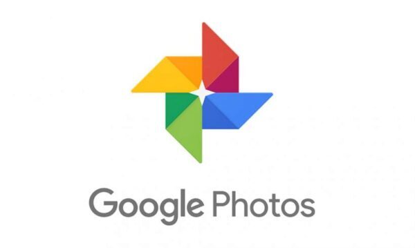 Google Фото научилось распознавать фотографии питомцев