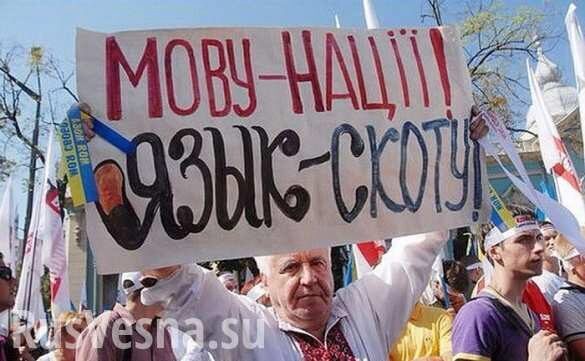 Хроники дерусификации: на Украине вступил в силу новый закон, вытесняющий русский язык