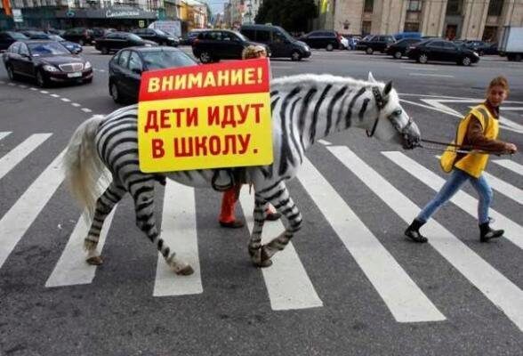 Как в России повысили штраф за непропуск водителями пешеходов