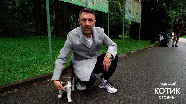 Пермский кот Барсит станет участником шоу на Первом канале