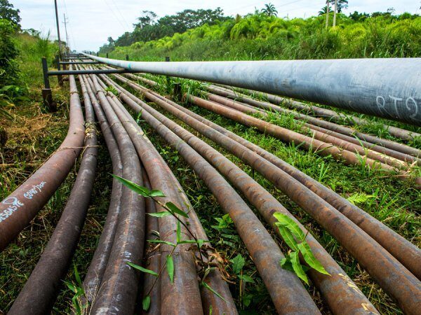 Petroamazonas активизирует нефтедобычу в амазонском парке Ясуни
