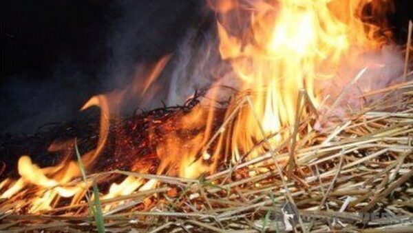 Почти 200 тонн сена сгорели под Выксой из-за детской игры со спичками
