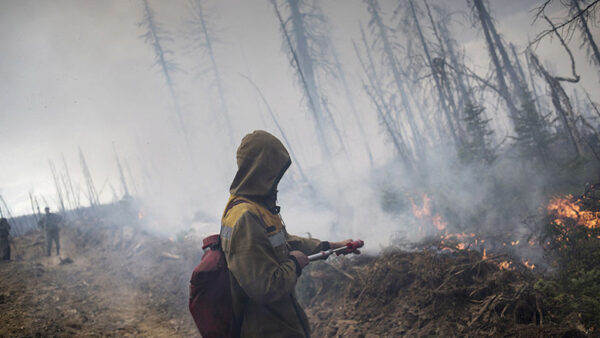Пожарные тушат в России 60 лесных возгораний на площади свыше 2,7 тыс. га
