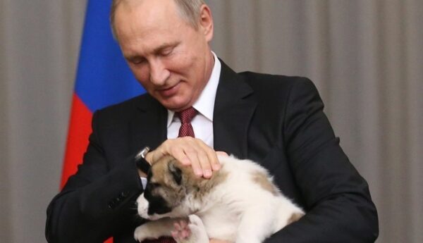 Путину подарили щенка алабая в честь прошедшего дня рождения