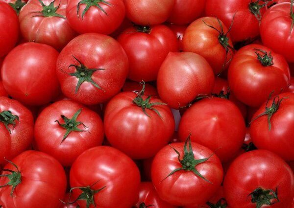 Российская Федерация снова подозревает Беларусь в реэкспорте турецких помидоров