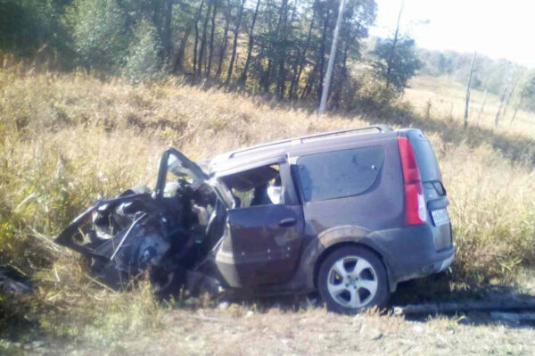 Серьезная авария в Новоспасском районе унесла жизни троих человек