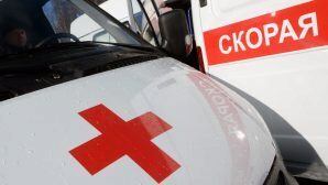 Страшная авария на трассе М-10 под Новгородом унесла жизнь одного человека