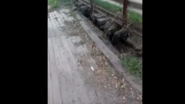 «Так не делал дорогу еще никто»: дорожники закатали в асфальт деревянный мост (видео)
