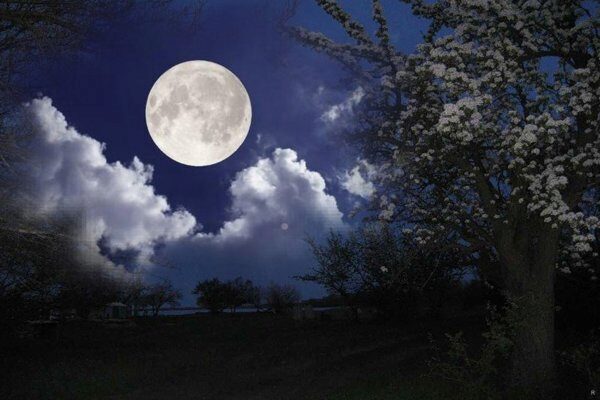 Ученые: между грозами на Земле и лунной активностью есть прямая связь
