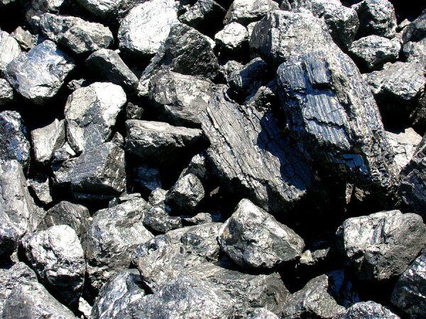 Учёные: образование угля привело к всемирному оледенению