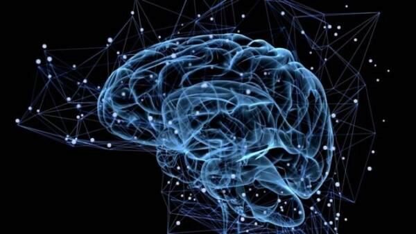 Ученые: Синхронизация полушарий позволяет ускорить работу мозга