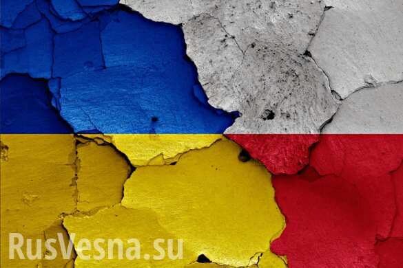 Украина и Польша подписали соглашение по закону об образовании