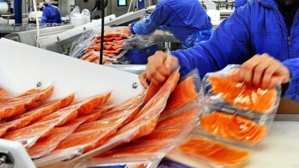 Увеличение рыбного производства планируется в Нижегородской области