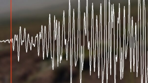 У южных берегов Японии случилось землетрясение