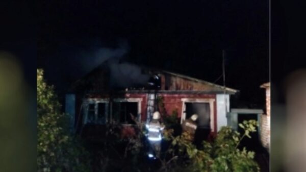 В Елецком районе сгорел дом