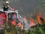 В Калифорнии значительно увеличилось число жертв лесных пожаров