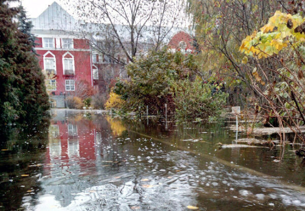В Пермском госуниверситете затопило ботанический парк