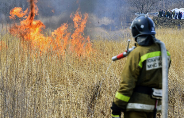 В Приморье сегодня ввели особый противопожарный режим