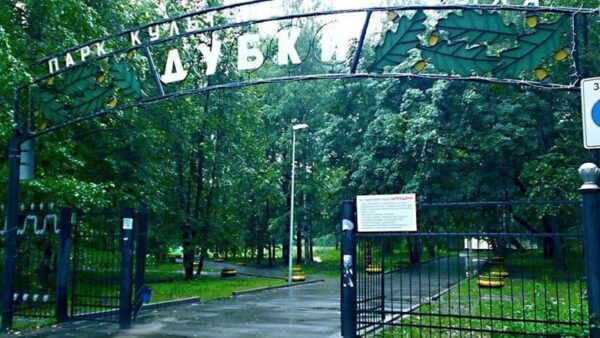 Защитники нижегородского парка «Дубки» направили письмо Никитину