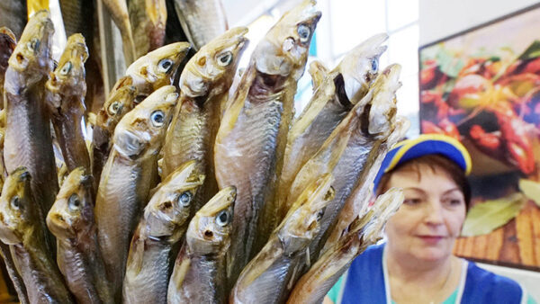 Жители России увеличили потребление рыбной продукции в 2017 году