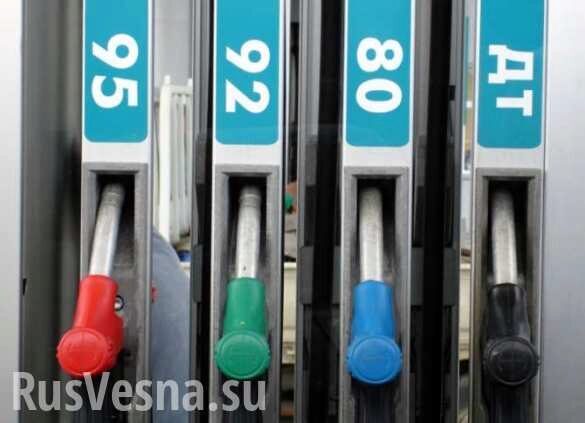 Цены на бензин в России могут превысить 50 рублей