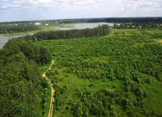 Московская область избрала эффективную модель управления в области охраны окружающей среды