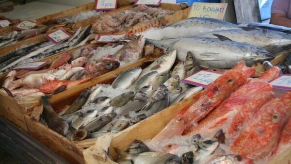 На нижегородском рынке «Заречный» изъяли поддельную норвежскую рыбу