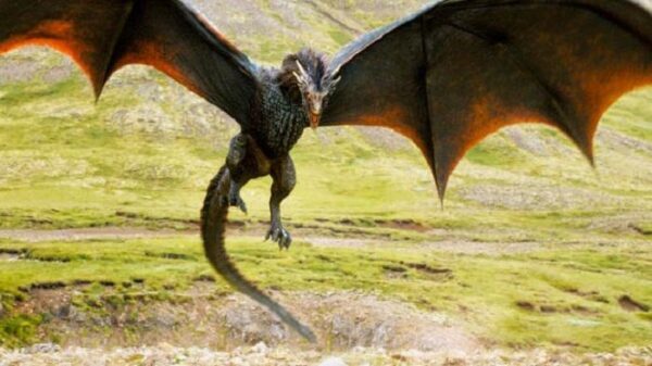 Настоящего летающего дракона сняли на видео в Китае