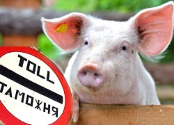 Россельхознадзор планирует запретить поставки мяса из Бразилии