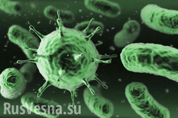 Российские ученые приблизились к раскрытию секрета «супербактерий»