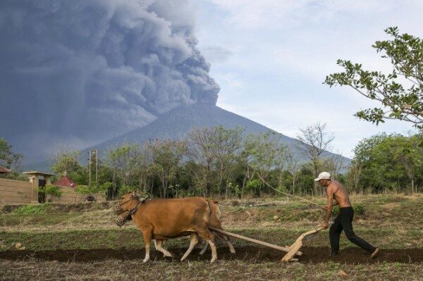 Российских туристов не испугало извержение вулкана на Бали