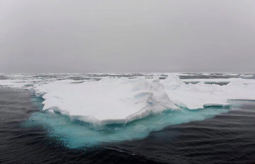 Ученый оповестили об ускоренном процессе таяния ледников Антарктиды