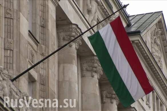 Украинские неонацисты сорвали венгерский флаг с горсовета на Закарпатье (ВИДЕО)