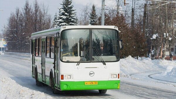 В 29 нижегородских автобусах обнаружены неполадки