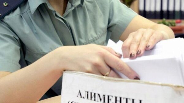 В Нижегородской области 80% дел о неуплате алиментов приходится на мужчин