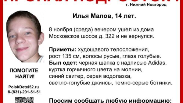 В Нижнем Новгороде снова разыскивают 14-летнего Илью Малова