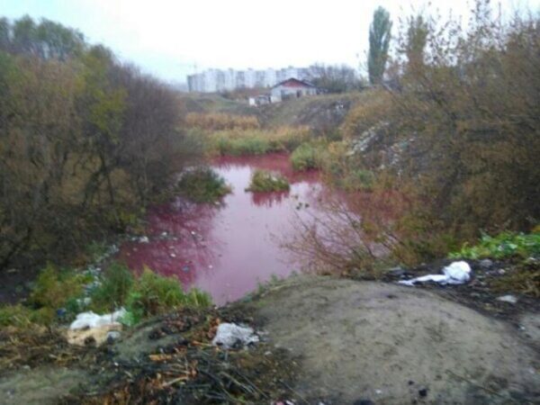 В Волгограде исследуют розовое озеро, чьи воды попадают в Волгу со стойким запахом тухлых яиц