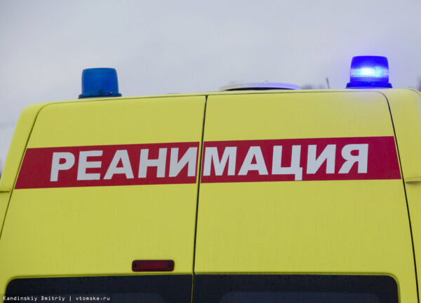 В ДТП при столкновении с КамАЗом под Томском погибли два человека