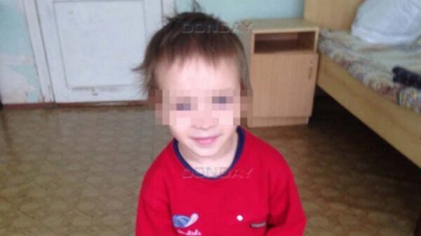 4-летний малыш, на глазах которого мать зарезала сожителя, встретит Новый год в Липецкой области