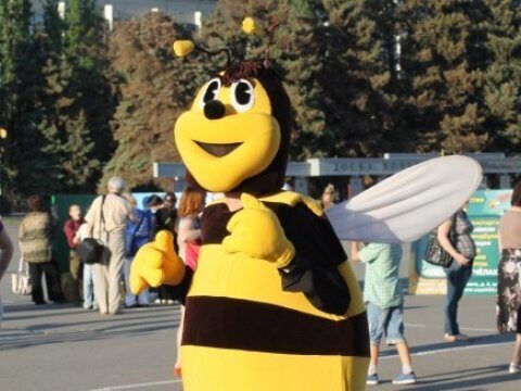 До конца декабря в Хвалынске появится музей пчелы