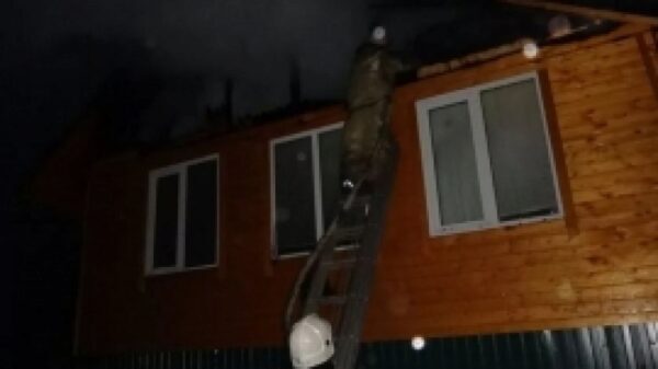 Дом сгорел ночью в Липецкой области