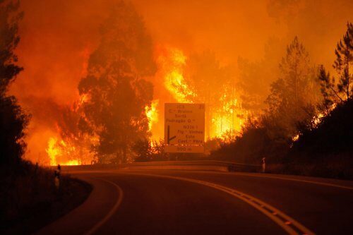 Лесной пожар в Калифорнии: 1человек погиб, 30 тысяч эвакуированы