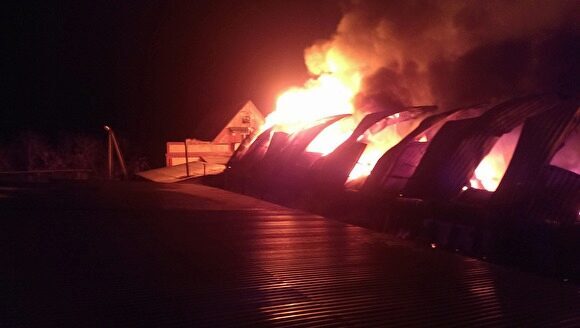 Ночью в Тюменской области сгорел рынок «Русич»