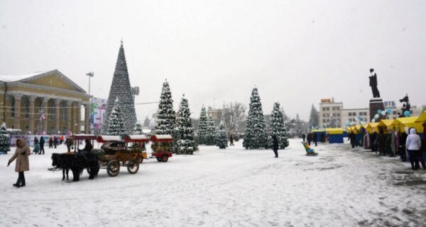 Новогодний рынок в Ставрополе собрал тысячи городских жителей