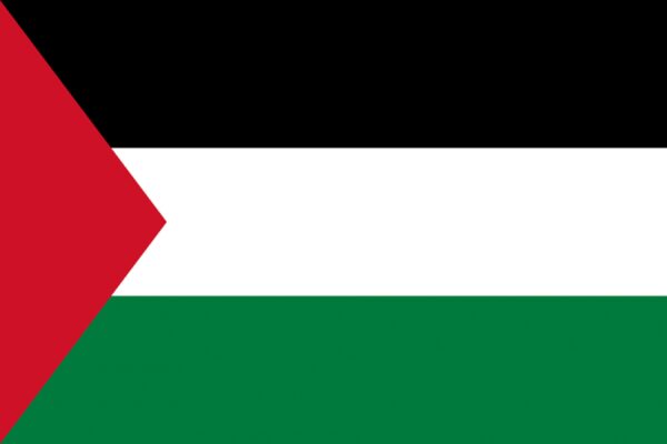 Представители ЛАГ призвали признать государство Палестина