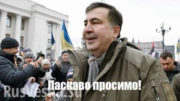 Саакашвили зовет следователя к себе в палатку